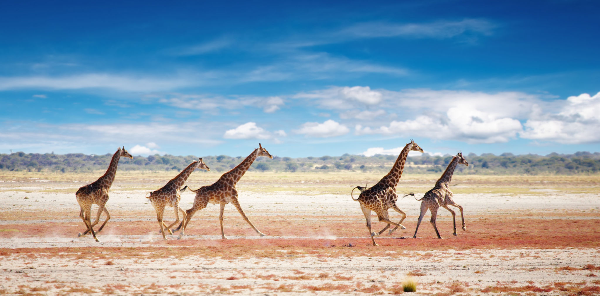 Namibia